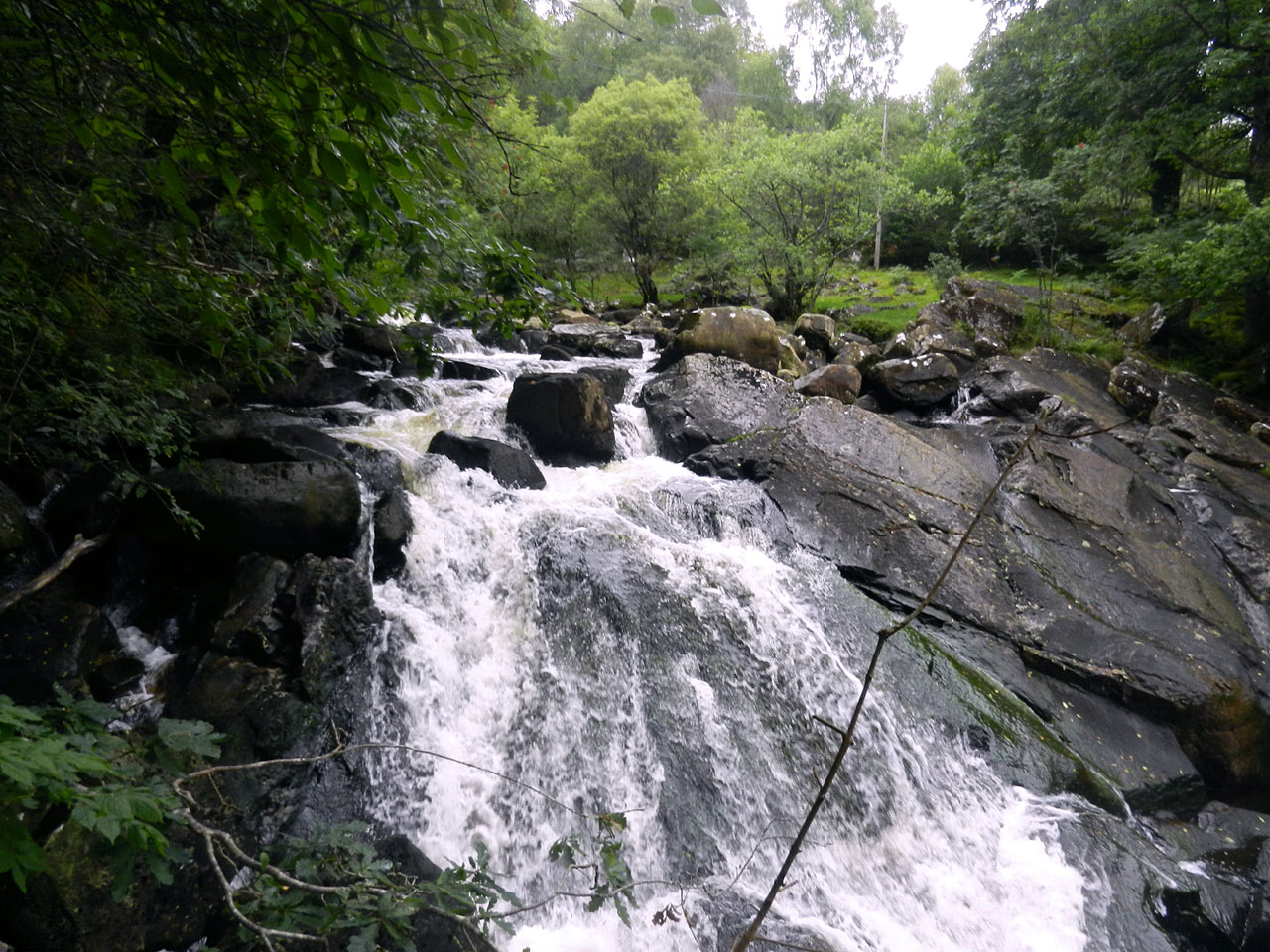Ganllwyd, Llanelltyd